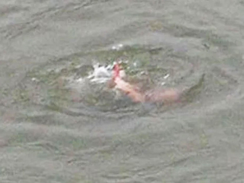 Six drowned picnickers' corpses retrieved