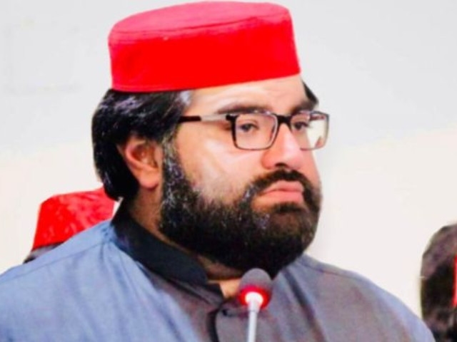 ANP chief decries 'shameful' seats verdict