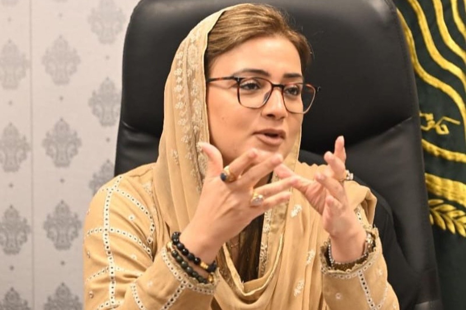 'PML-N also riding same-page horse'