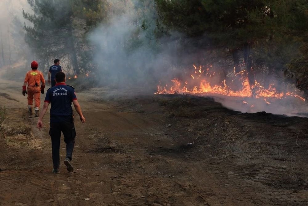 Turkey evacuates over 50,000 as wildfires rage in Izmir province