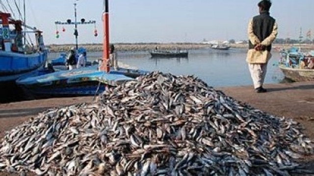 10-year fisheries policy to boost blue economy