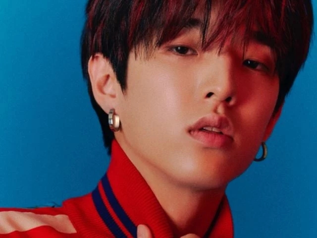 Jae Park leads 'Free Palestine' chant during Prambanan Jazz Festival set in Indonesia