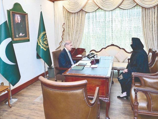 PM Shehbaz seeks report on smart meters installation