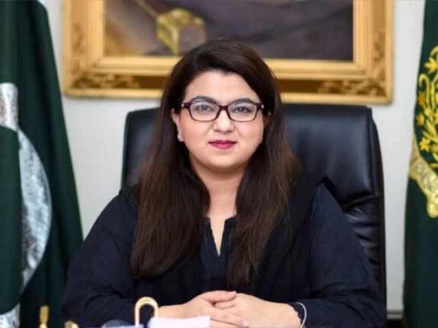 AI policy to be approved soon, says Shaza