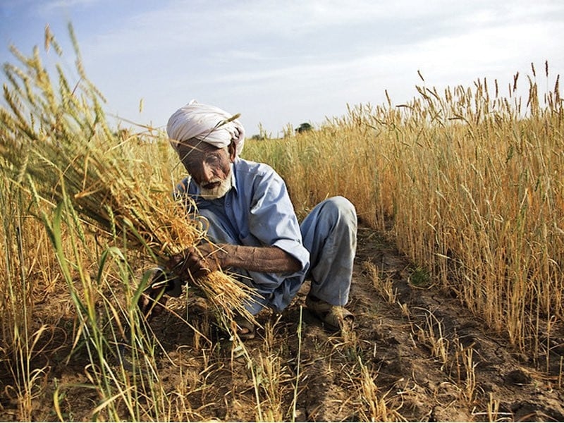 Agri-budget fails to match damage