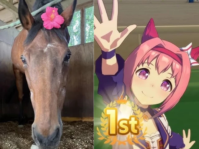 Haru Urara wins first race over a decade after retirement, while Umamusume renews interest