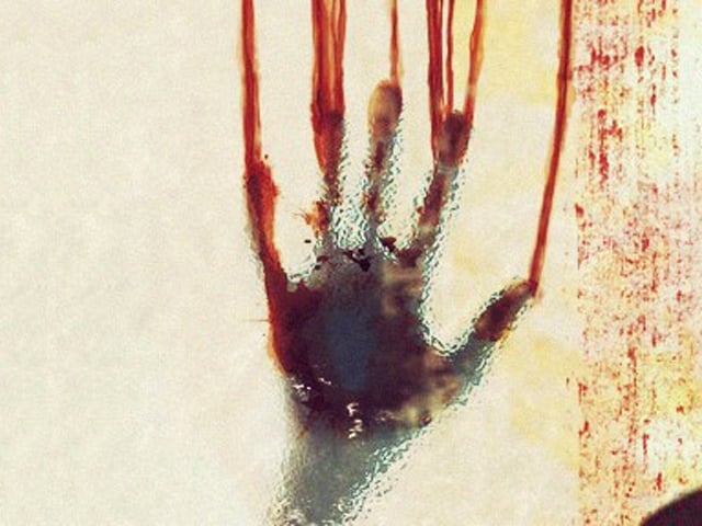 Pakistan sees 32,617 gender-based violence cases in 2024: SSDO
