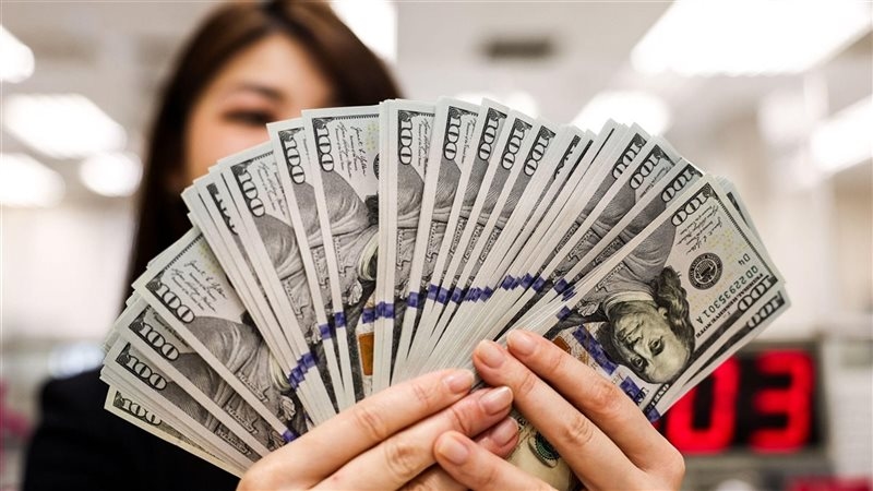 الدولار مستقر في مصر وسط التزامات سداد تفوق 20 مليار دولار خلال النصف الثاني من 2025