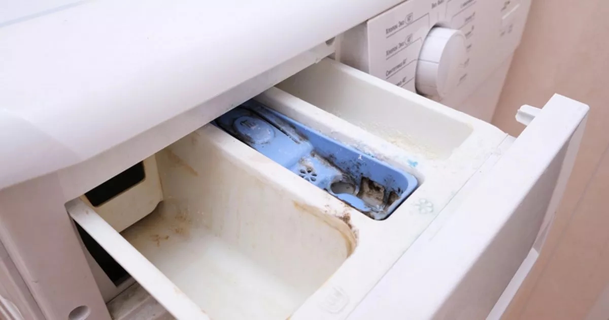 Mrs Hinch fans share 55p item to get mouldy washing machine drawers sparkling again