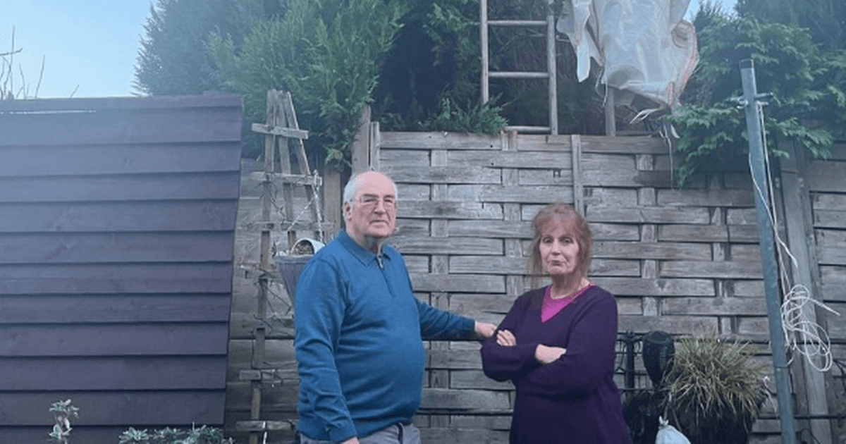 Scots couple win bitter row with neighbours over hedge that made lives 'misery'