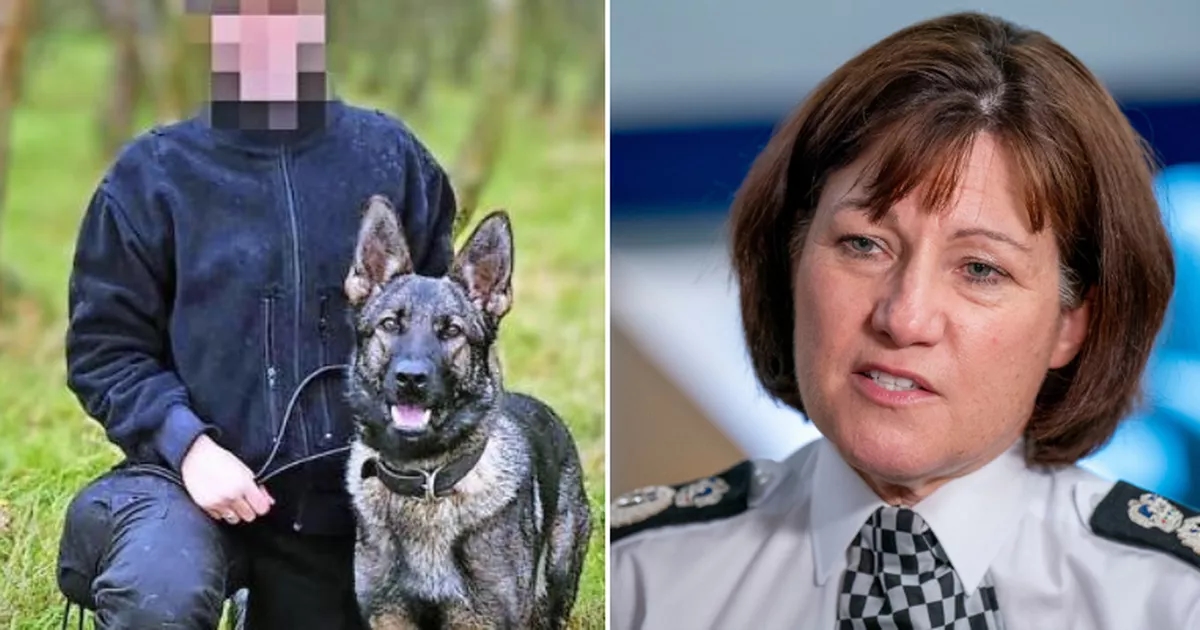 Vet report reveals hero dog had 'great prognosis' before death as police chief urged to 'come clean'