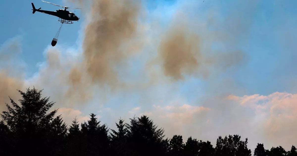 MSP thanks emergency services for efforts in tackling Fauldhouse wildfire