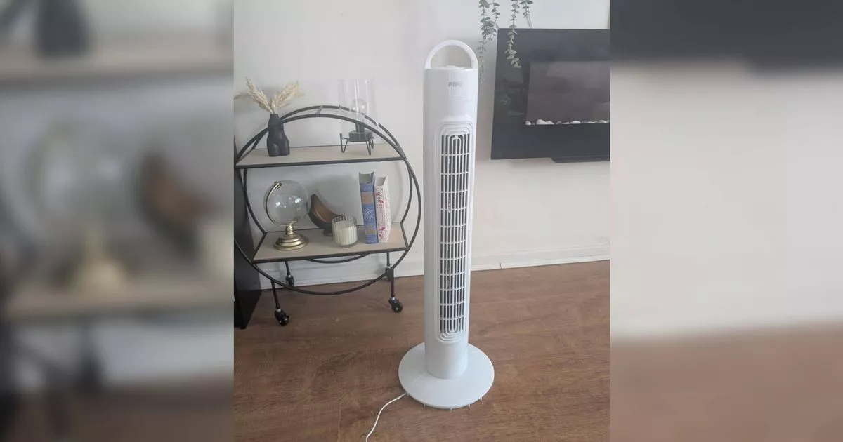 I tried a £20 Home Bargains fan - it's a lifesaver during a heatwave