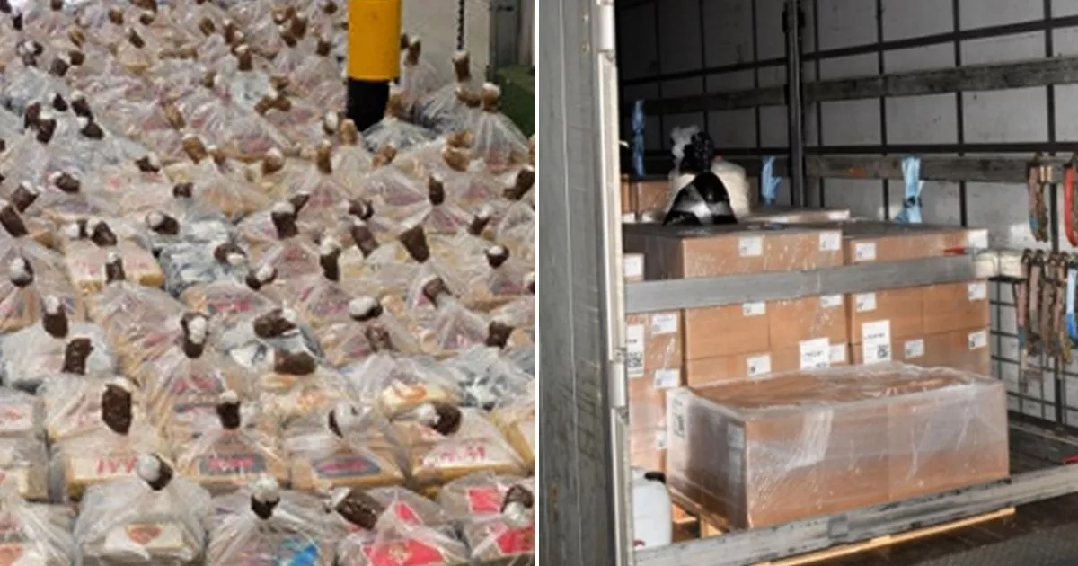 Cocaine worth £100m seized by Border Force officers in huge port bust