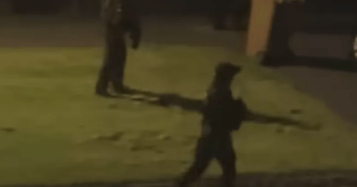 Armed cops storm Scots street after cars 'shot at by airgun' as police helicopter called