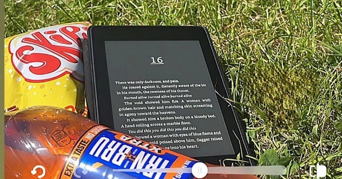 'I've read 35 books on my Kindle this year and you can get one for 25% off on Prime Day'