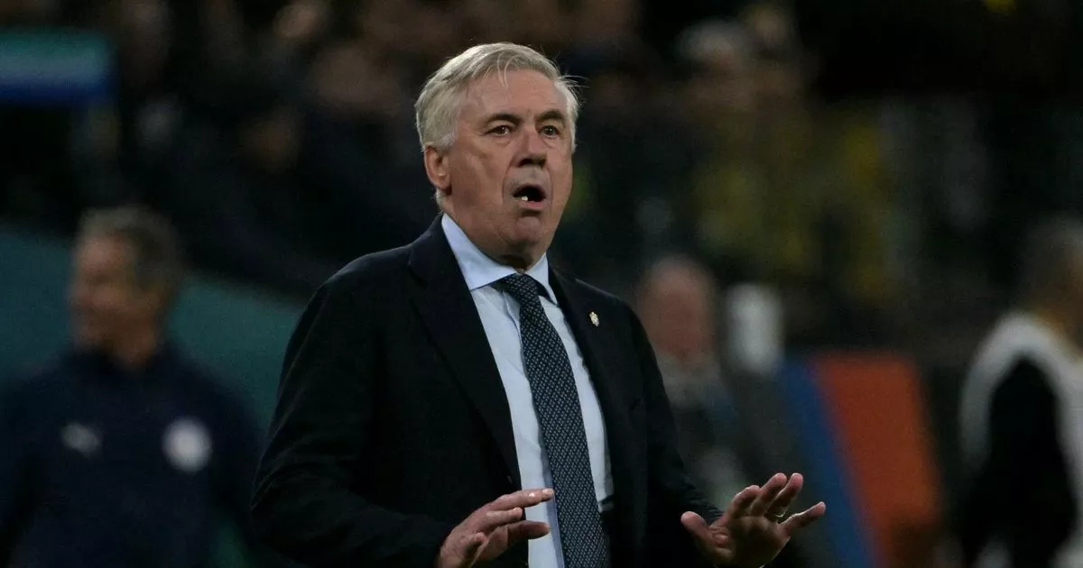 Brazil coach Carlo Ancelotti sentenced to jail term in Spain for tax fraud