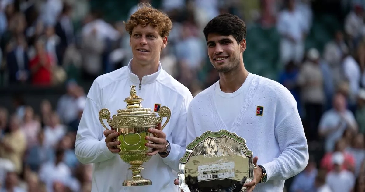 Tennis fans call for BBC to axe commentator after Wimbledon final