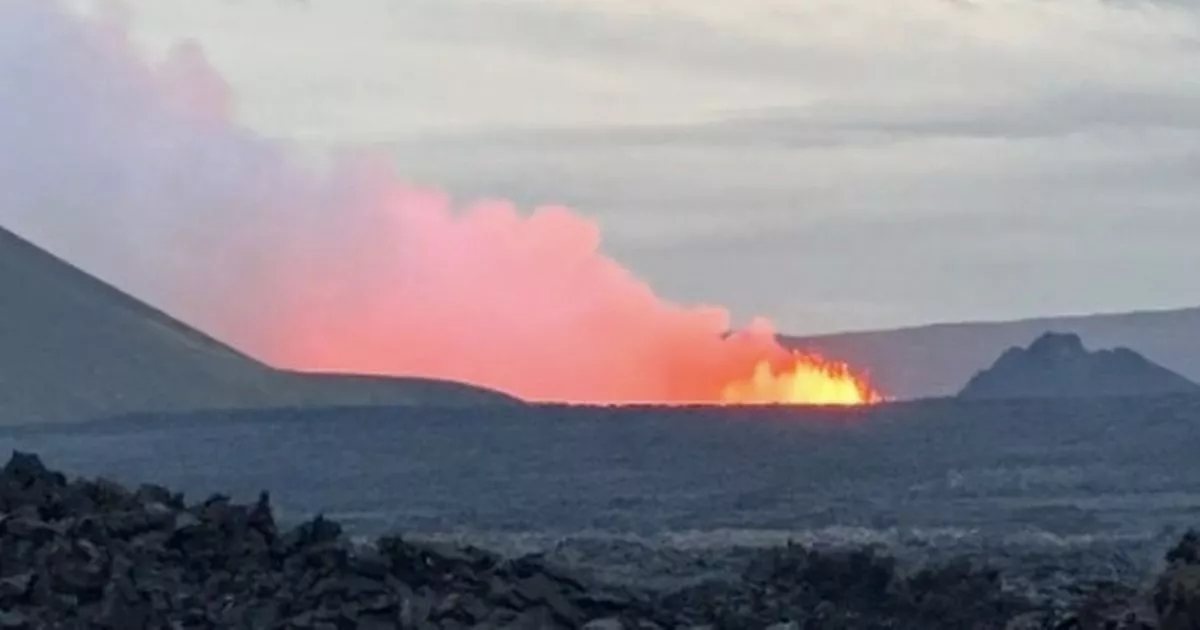 Iceland volcano Sundhnúkur erupts as families and tourists evacuated