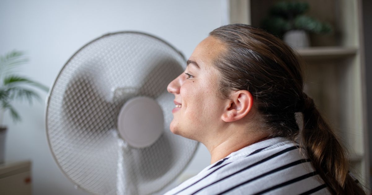 Amazon urgently recalls ceiling fan over fears it could give electric shocks