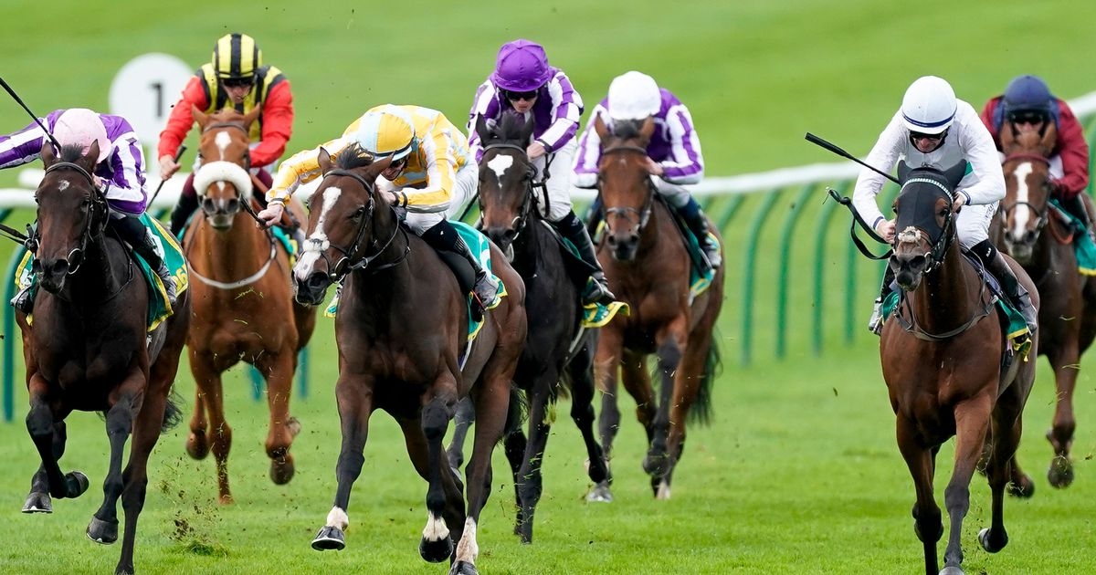 Royal Ascot trainer slapped with fine after sending wrong horse to race