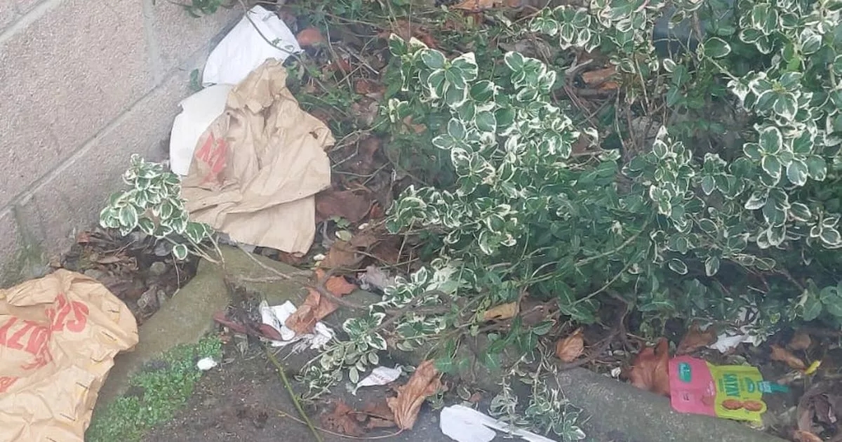 Wheelie bin lid locks in could crack down on West Lothian litter