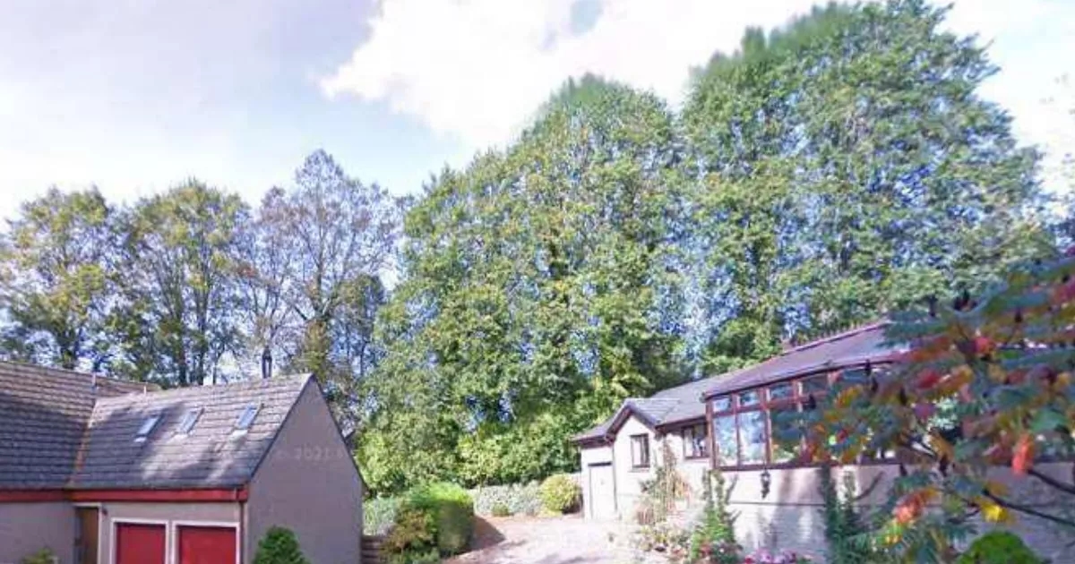 West Lothian lime trees in historic street saved from the chop