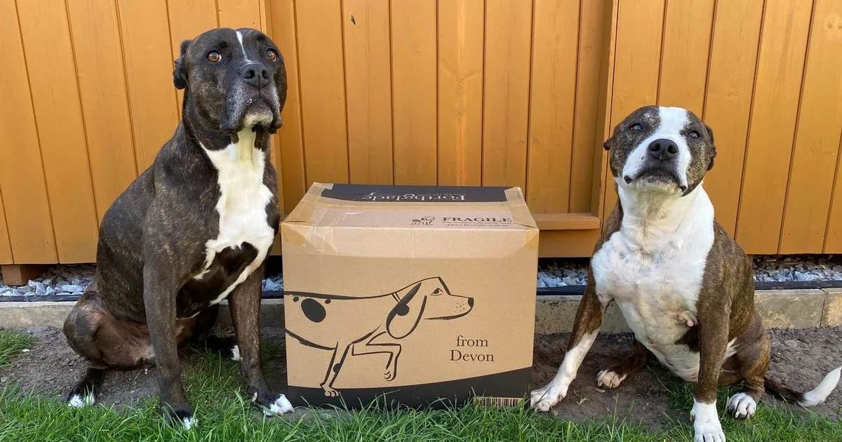 'I made one smart and easy switch to my dogs meals and it saved me over £200 a year'