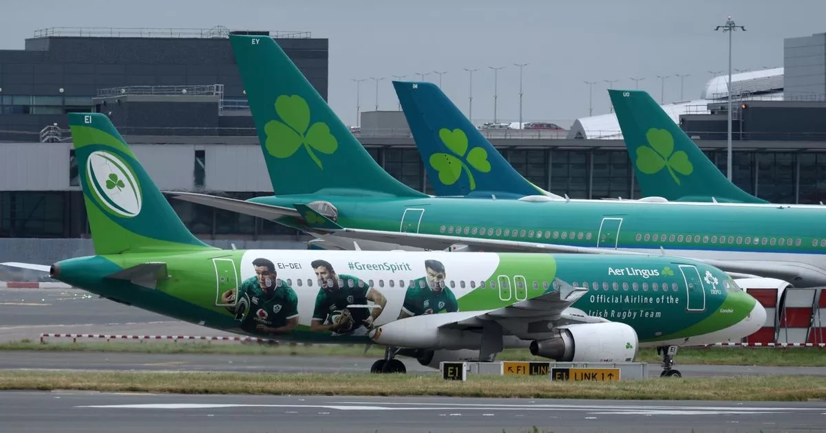Aer Lingus flight from Ireland to US forced to return to Dublin Airport