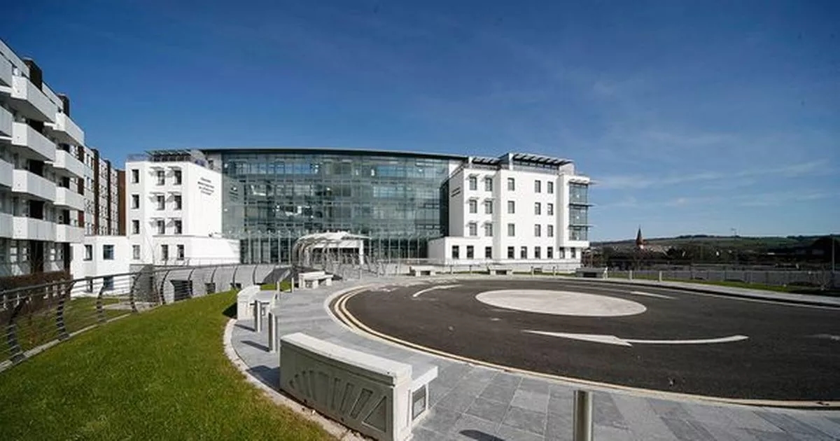 Woman rushed to hospital after dog attack as Gardai investigate