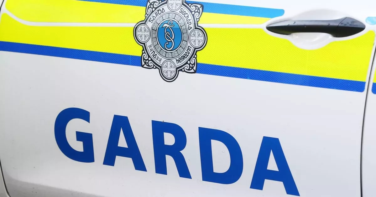 Man injured after being 'jumped on' in unprovoked attack as gardai issue appeal