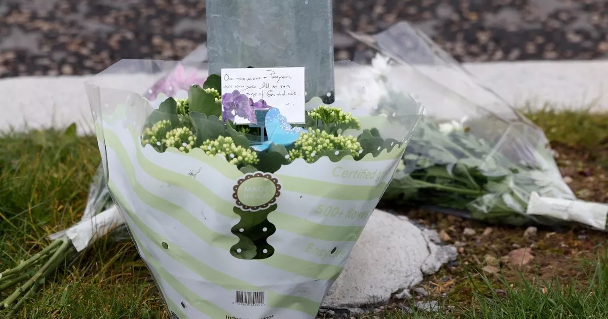 Four year old killed in Mullingar road tragedy named locally