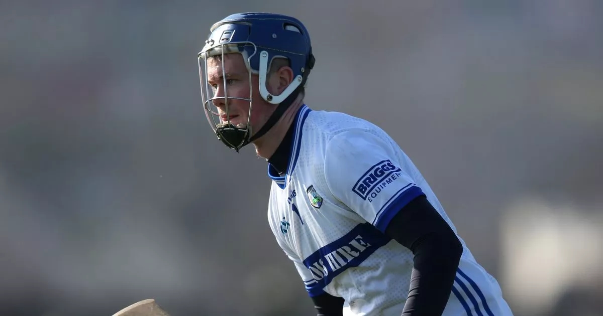 Laois keeper pulls off one of the best saves you will see in McDonagh Cup final