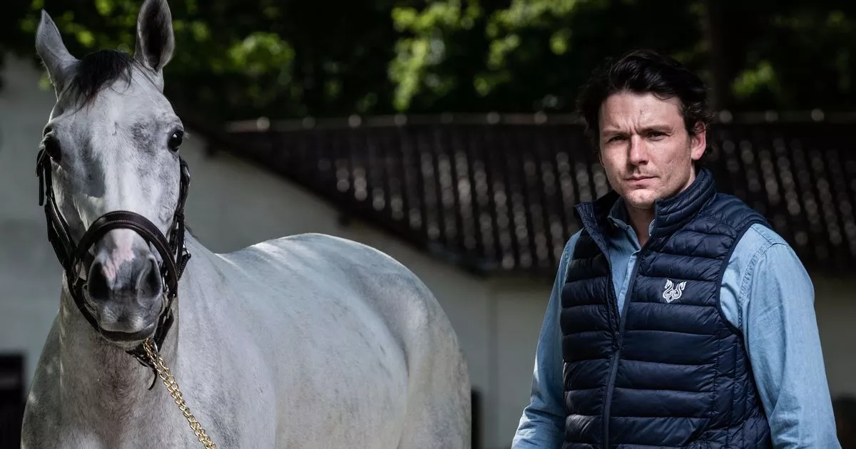 Cheltenham Festival-winning trainer gets three-month 'non-sporting offences' ban