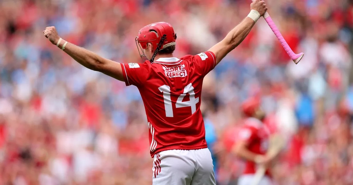 Stunned Dubs boss hails Rebel display as 'best he has seen' in years