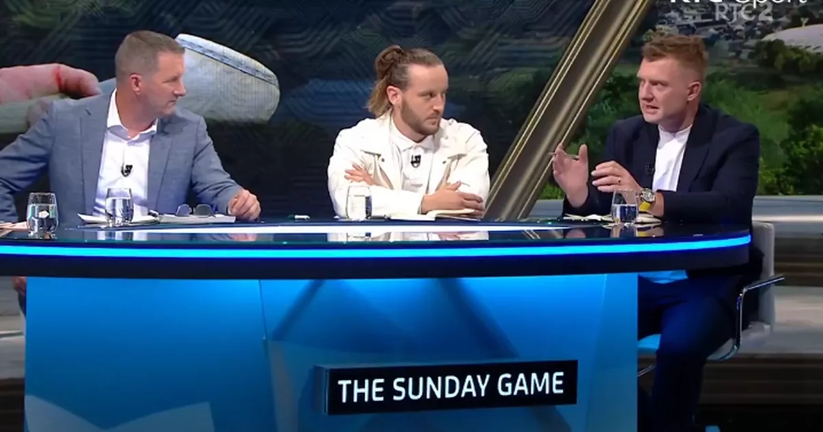RTE Sunday Game pundits weigh in on Kilkenny v Tipperary 'ScoreGate' controversy