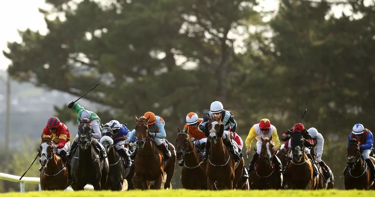 Galway Races Monday tips: Robbie Power's selections for day 1 at Ballybrit