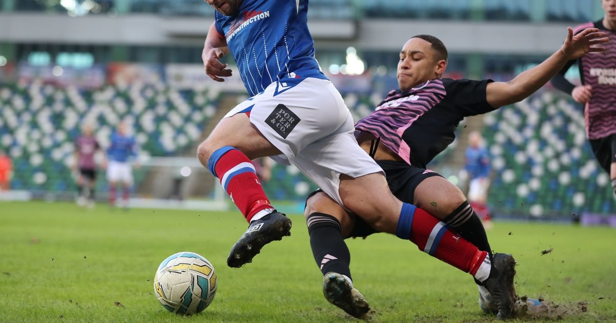 Ballymena United follow ex-Shelbourne defender signing with Finn Harps raid