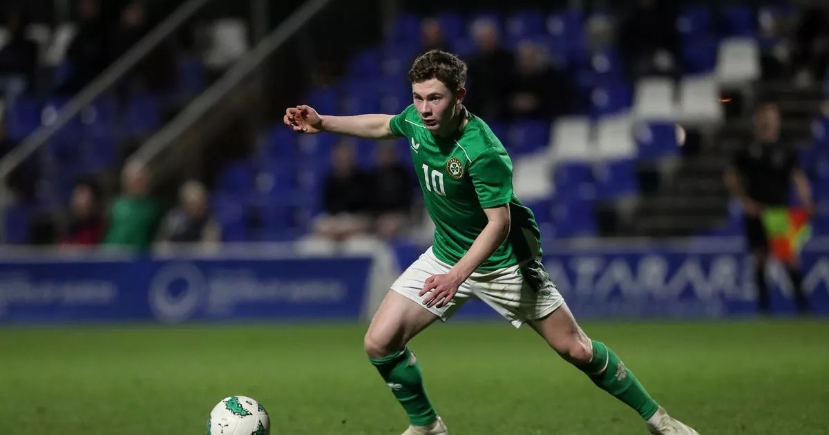 Brighton exit confirmed for one Ireland international, but not who you think