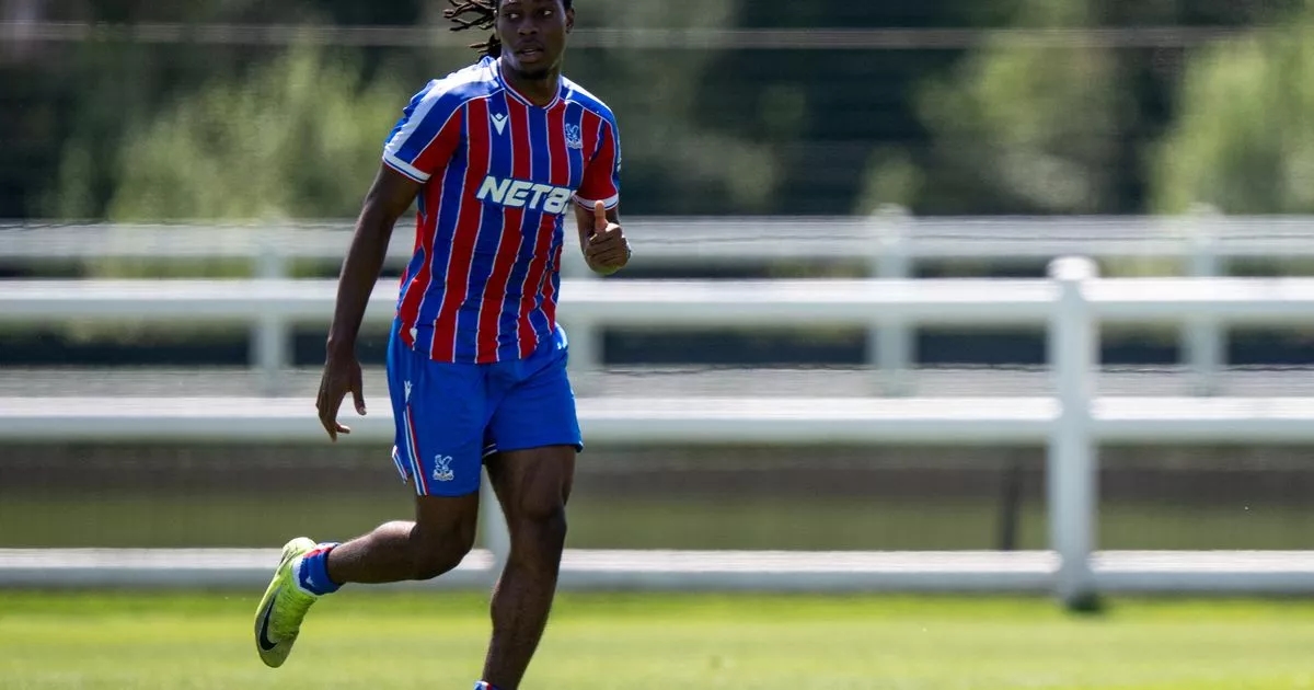 ‘We know how highly Palace think of him' - Dubliner hailed as loan move is done