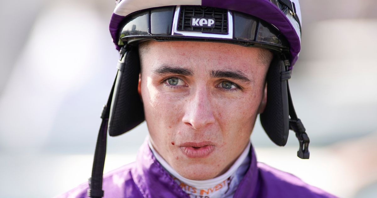 Rossa Ryan's 'big sorry' after favourite ruled out when kicked at start by rival