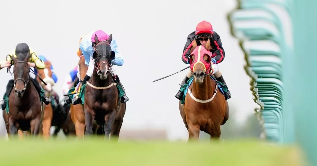 Newsboy's horseracing tips for Friday's five meetings including Yarmouth NAP