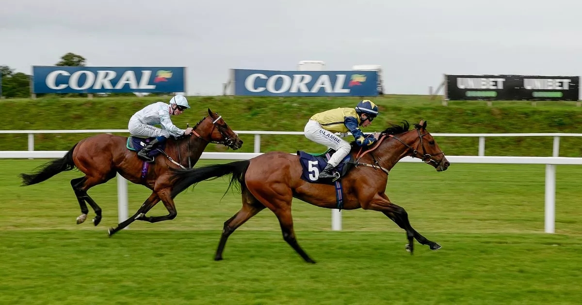Newsboy's racing tips for Monday's three meetings, including Chepstow Nap