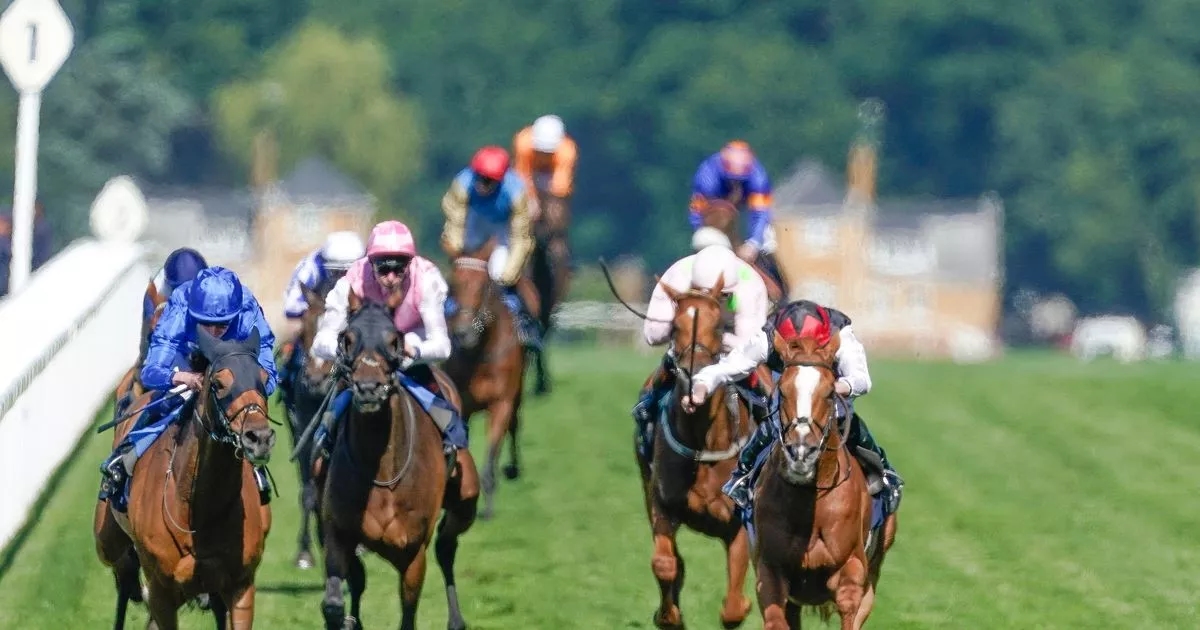 Who is the favourite to win the Royal Ascot Gold Cup 2025?