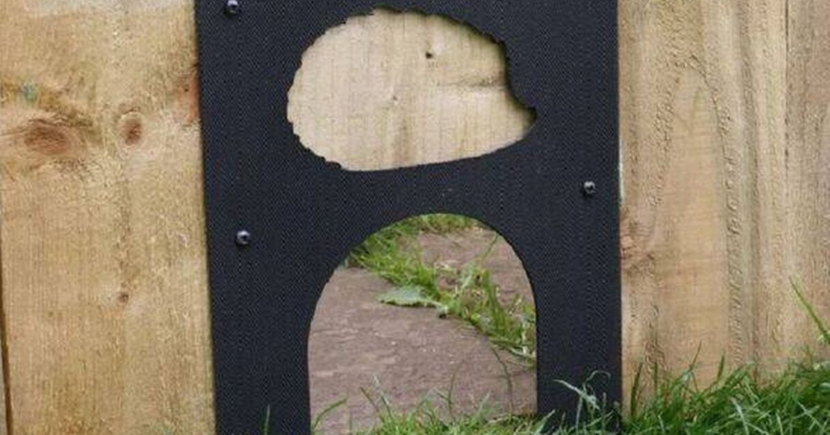 RSPCA urges gardeners to drill holes in their fences for important reason