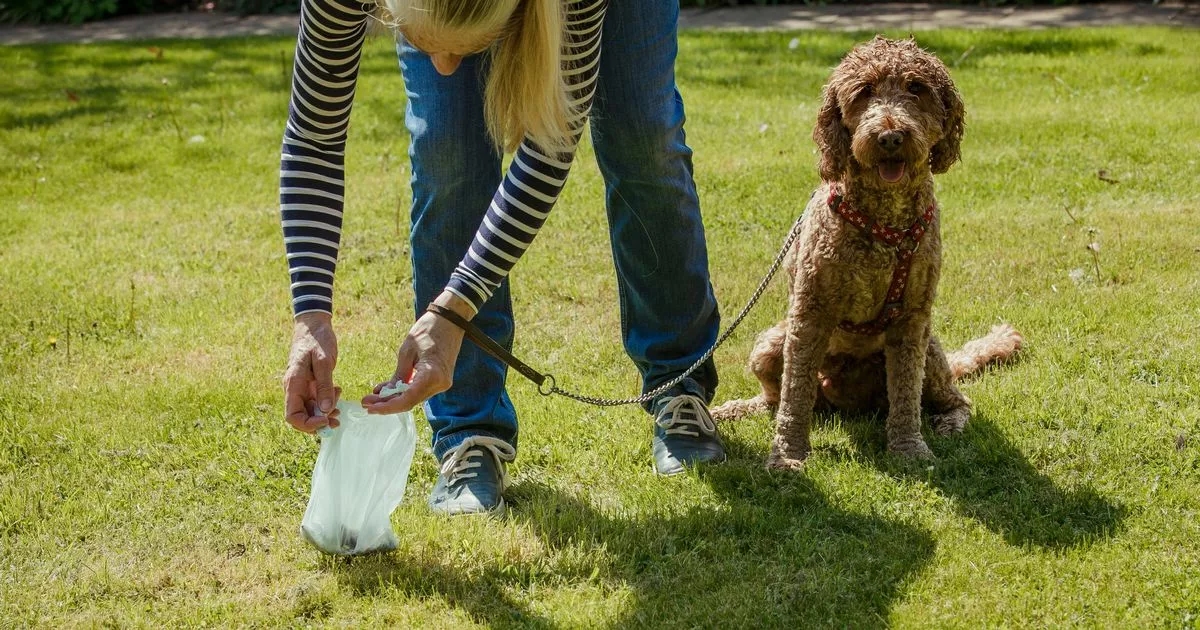 'I was sick of neighbour letting dog poo in my garden – so I got brutal revenge'