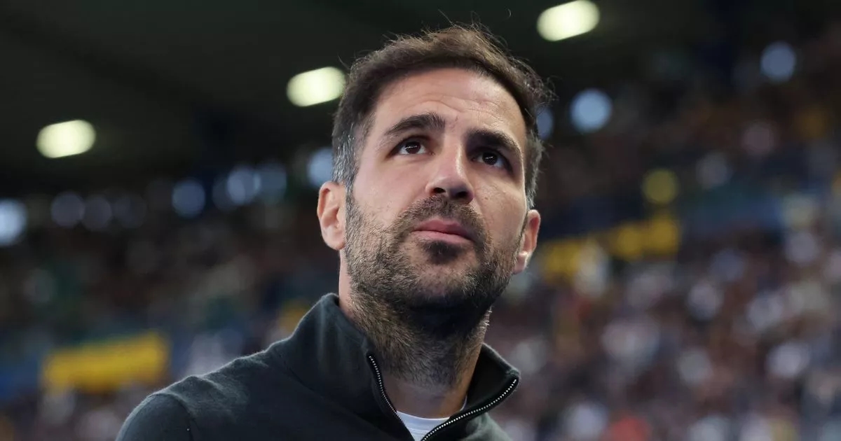 Cesc Fabregas decides on surprise new job as mega-money Saudi deal agreed