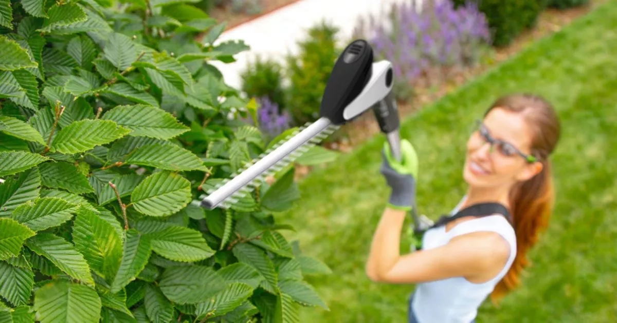 Gtech hedge trimmer is £70 off and makes gardening 'effortless'