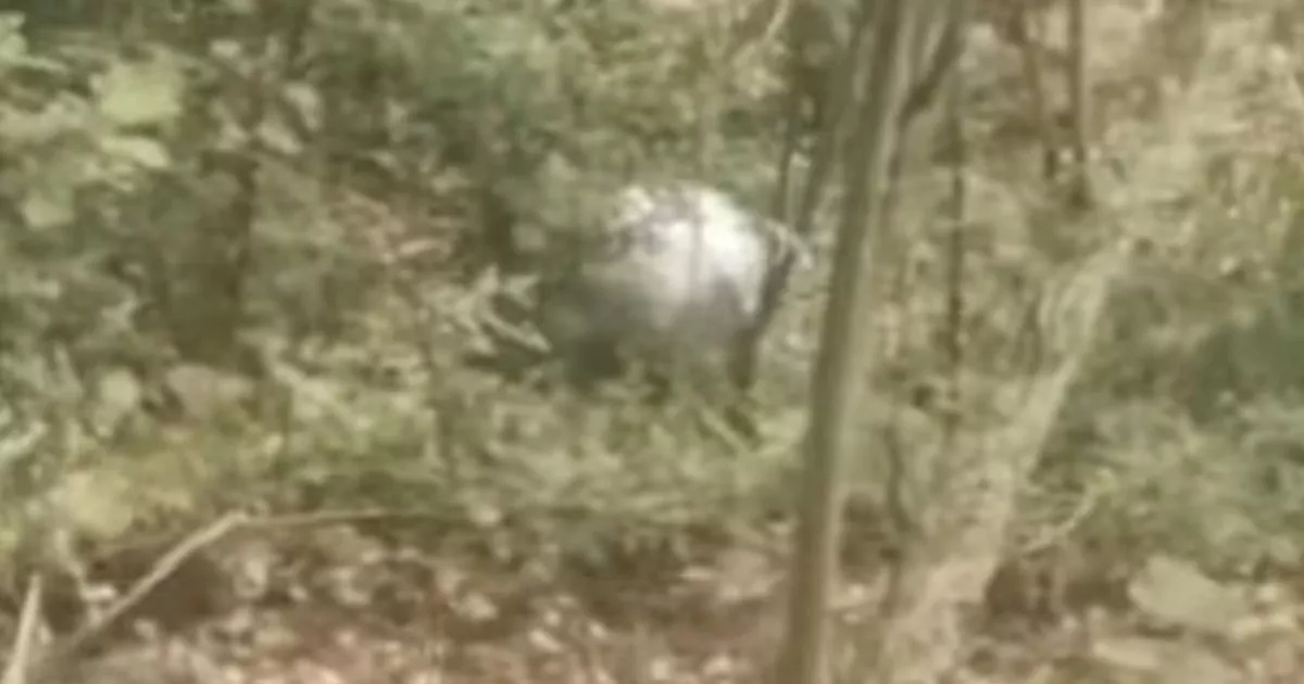 UFO sphere scientists uncover incredible features in ball 'that fell from space'