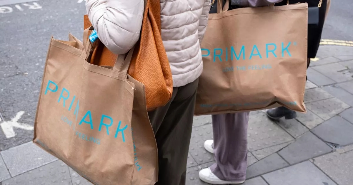 Primark's 'sleek' £10 bag looks 'just like' £1,650 Celine version